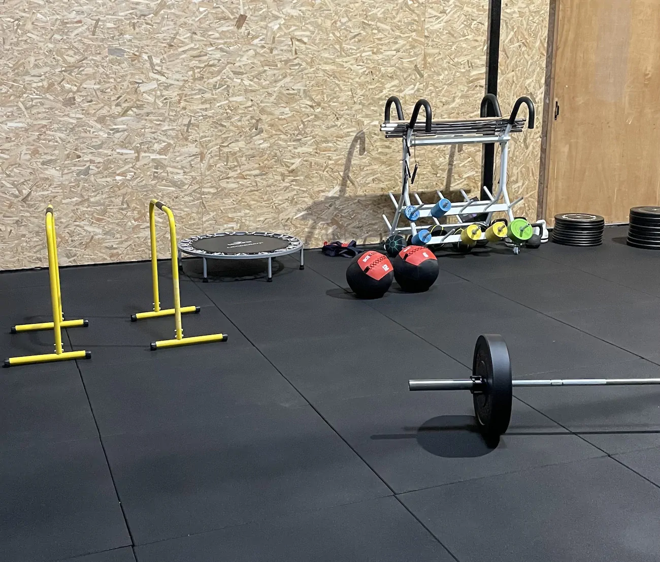 Salle de gym avec haltères, trampoline et barres.